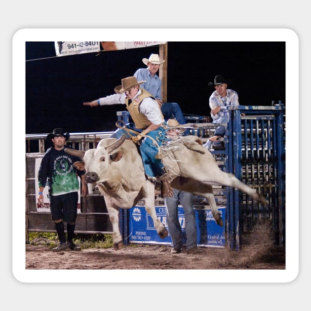 Bull Rider Sticker by joesaladino